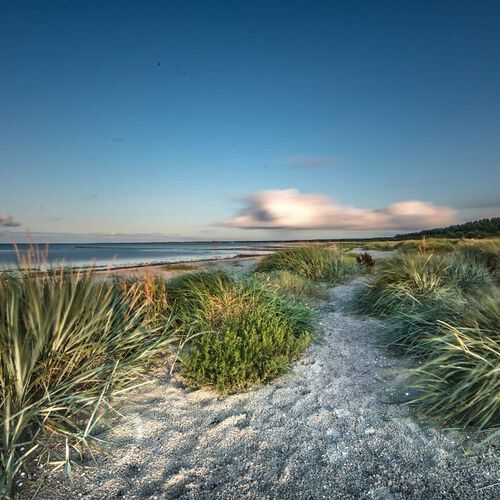 Exkursion Küstendynamik / Foto © K. Haase