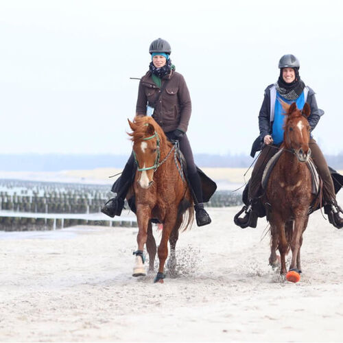 Darsser Distanzreiten