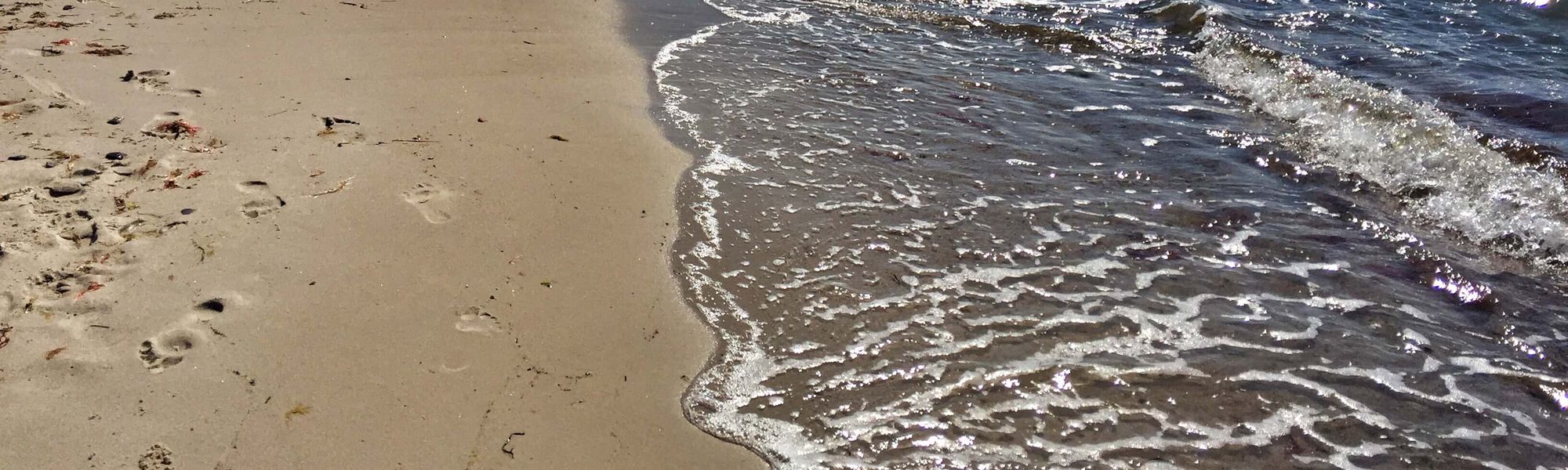 Ostsee Darß ©Prerow-Online