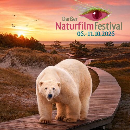 Darßer Naturfilmfestival 2026